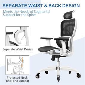 img 2 attached to 🪑 Ultimate Office Comfort: FelixKing Ergonomic Desk Chair with Adjustable Headrest, Armrests, Lumbar Support, Roller Blade Wheels, & Reclining High Back Mesh Design (White)