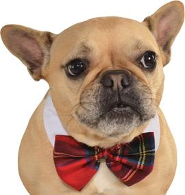 img 4 attached to 🎀 Plaid Red Pet Christmas Bowtie with Rubies