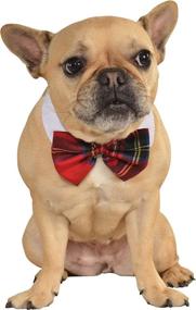 img 2 attached to 🎀 Plaid Red Pet Christmas Bowtie with Rubies
