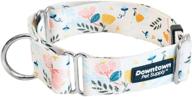 🐶 durable martingale training collar for dogs and puppies - big and wide, small to extra large sizes (medium, floral design) logo