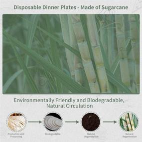 img 3 attached to 🍽 Chinet Paper Plates Dinner Set – 7 inch (50 pcs) & 9 inch (50 pcs) Disposable Plates – Compostable Biodegradable Dinnerware for Restaurant/Fast Food Shop (100 pcs)