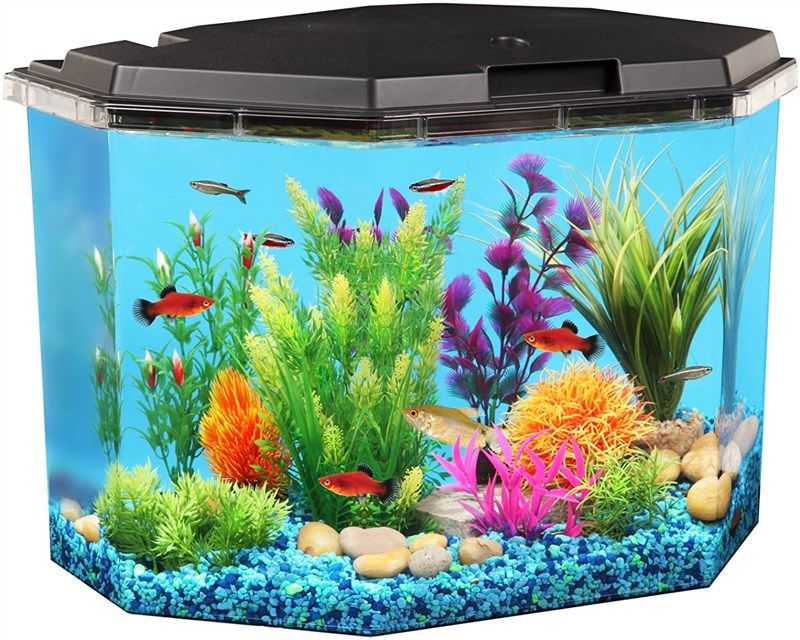 Outgeek Wall Mounted Aquarium Tank: 1-Gallon Betta Fish Bowl