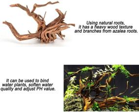 img 2 attached to 🌿 Enhance Your Aquarium with Tfwadmx Spider Wood Sinkable Driftwood: Natural Branches for Fish Tank Decorations and Reptile Habitat