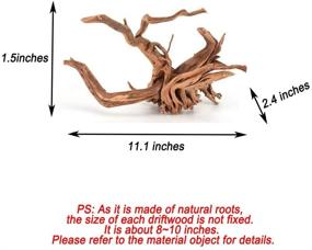 img 1 attached to 🌿 Enhance Your Aquarium with Tfwadmx Spider Wood Sinkable Driftwood: Natural Branches for Fish Tank Decorations and Reptile Habitat
