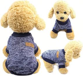 img 2 attached to Cozy and Stylish YAODHAOD Dog Sweater: Winter Knitwear for Small 🐶 Dog, Puppy, Kitten, and Cat - Soft, Thickening, and Warm Pet Clothes