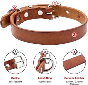 img 2 attached to 🐶 Cornertrace Genuine Cowhide Leather Dog Collar: Thick, Strong, and Super Durable Collar for Small and Medium Sized Dogs