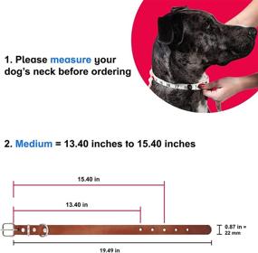 img 3 attached to 🐶 Cornertrace Genuine Cowhide Leather Dog Collar: Thick, Strong, and Super Durable Collar for Small and Medium Sized Dogs