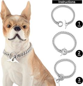 img 2 attached to 🔗 Jewelry Kingdom Dog Choke Chain Collar: High Polished Cuban Link, Adjustable Training Walking Collar for Small Medium Large Dogs