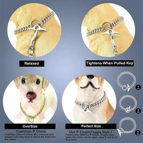 img 3 attached to 🔗 Jewelry Kingdom Dog Choke Chain Collar: High Polished Cuban Link, Adjustable Training Walking Collar for Small Medium Large Dogs