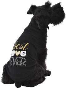 img 2 attached to 🐶 Parisian Pet Funny Dog Tshirt: Stylish Plain and Striped Summer Clothes with Embroidery Pattern for Dogs and Cats