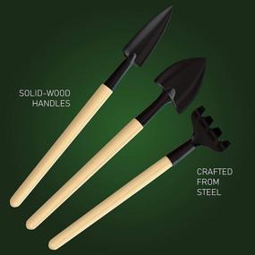 img 1 attached to 🌿 Planters' Choice Premium Bonsai Tool Kit + Bonsai 101 Book: Essential Set for Bonsai Enthusiasts - Includes Wooden Rake, Spades, Scissors, Tweezers, Bamboo Brush, Pruning Shears in Fabric Storage Holder