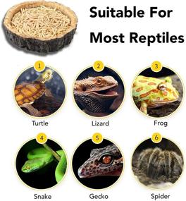 img 1 attached to 🦎 2-Pack Reptile Food and Water Bowls by CalPalmy - Novelty Food Bowl for Lizards, Young Bearded Dragons, Small Snakes, and More - BPA-Free Plastic, Non-Toxic Material