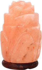 img 3 attached to Flower Pink Himalayan Salt Lamps Natural Crystal Hymalain Rock Lamp For Gifts