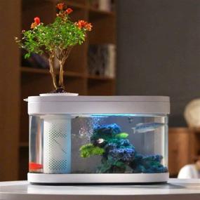 img 3 attached to 🐠 Sheebo 2.5 Gallon Modern Aquarium Kit - Small Fish Tank with LED Light, Filtration System & Quiet Water Pump - Ideal for Betta Fish and Various Fish - Including Small Plant Décor