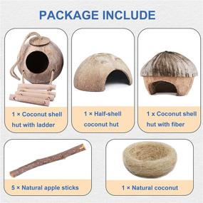 img 3 attached to 🏡 Enhance Your Small Pet's Habitat with Kathson Natural Coconut Hut Hamster Hiding House - Perfect for Gerbils, Rats, Mice, and Guinea Pigs