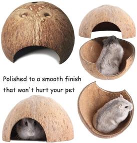 img 1 attached to 🏡 Enhance Your Small Pet's Habitat with Kathson Natural Coconut Hut Hamster Hiding House - Perfect for Gerbils, Rats, Mice, and Guinea Pigs