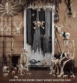 img 1 attached to Starvin' Skeleton Marionette by Crazy Bonez