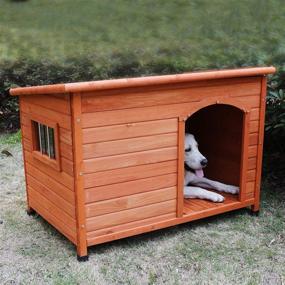 img 4 attached to 🏠 Rockever Wood Dog Houses Outdoor: Insulated, Weatherproof & Cute Wooden Homes with Door for Dogs