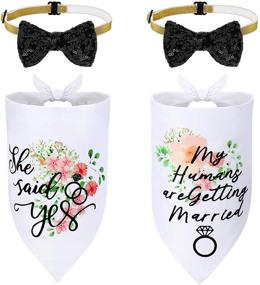 img 4 attached to Dog Wedding Accessories Set: 2 Flower Patterned Wedding Dog Bandanas with 2 Washable Bow Tie Collars - Perfect for Engagement Announcement and Wedding Photo Prop (Size: M)