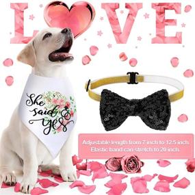 img 2 attached to Dog Wedding Accessories Set: 2 Flower Patterned Wedding Dog Bandanas with 2 Washable Bow Tie Collars - Perfect for Engagement Announcement and Wedding Photo Prop (Size: M)