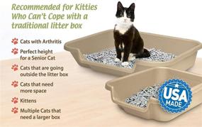 img 3 attached to 🐱 Senior Cat Litter Box - KittyGoHere