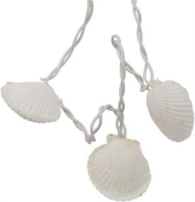 img 3 attached to 🔆 Dennis East International 75038: Stunning 16.5ft Scallop Shell String Lights - Ideal for Indoor and Outdoor Use - 30 ct Lights