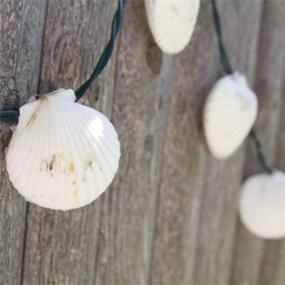 img 2 attached to 🔆 Dennis East International 75038: Stunning 16.5ft Scallop Shell String Lights - Ideal for Indoor and Outdoor Use - 30 ct Lights