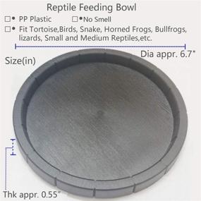 img 3 attached to Fuongee Reptile Feeding Tortoise Inches