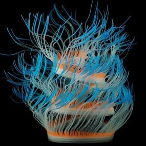 img 4 attached to 🐠 SunKni Glowing Sea Anemone Aquarium Decorations - 20, 30, 40 Inches - Changeable Folding Artificial Floating Silicone Décor Landscape for Fish Tanks