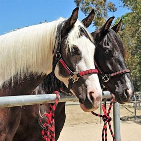 img 3 attached to 🐎 Revolutionary Safety for You and Your Horse: Portable, Reusable Breakaway Horse Tie - Prevent Tie Injuries - Quick Release - 5 Customizable Loop Settings - 2pcs