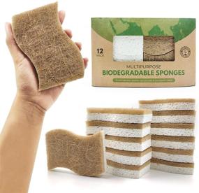 img 4 attached to Discover the AIRNEX Biodegradable Natural Kitchen Sponge: Compostable Cellulose and Coconut Walnut Scrubber Sponge for Eco-Friendly Dishwashing - Pack of 12