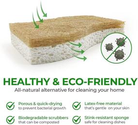 img 2 attached to Discover the AIRNEX Biodegradable Natural Kitchen Sponge: Compostable Cellulose and Coconut Walnut Scrubber Sponge for Eco-Friendly Dishwashing - Pack of 12