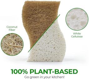 img 3 attached to Discover the AIRNEX Biodegradable Natural Kitchen Sponge: Compostable Cellulose and Coconut Walnut Scrubber Sponge for Eco-Friendly Dishwashing - Pack of 12