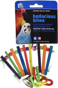 img 1 attached to 🦜 Exciting Multicolor Bird Toy: Prevue Pet Products 60949 Bodacious Bites Accordion