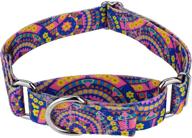 🐶 country brook petz - groovy collection martingale dog collar with 11 far out designs logo