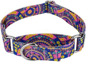 img 4 attached to 🐶 Country Brook Petz - Groovy Collection Martingale Dog Collar with 11 Far Out Designs