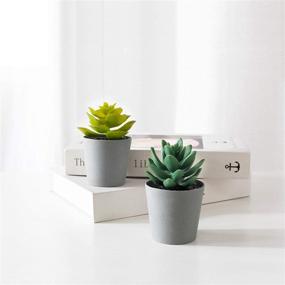 img 1 attached to 🌵 Realistic Artificial Succulents Set of 3 Mini Plants with Plastic Pots - Perfect for Home and Office Decor - Aloe, Echeveria, Haworthia