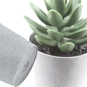 img 2 attached to 🌵 Realistic Artificial Succulents Set of 3 Mini Plants with Plastic Pots - Perfect for Home and Office Decor - Aloe, Echeveria, Haworthia