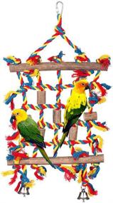 img 4 attached to 🦜 KINTOR Climbing Net Rope Bird Toy for Budgies, Cockatiels, Macaws, Conures, Finches, Cockatoos, African Greys, Parakeets