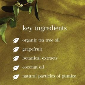 img 3 attached to Organic Tea Tree Oil Gentle 🌿 Face Scrub by Dr.Organic, 5.1 fl oz