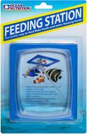 🐟 enhance your fish's feeding experience with our feeding station logo