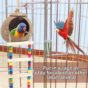 img 2 attached to 🐦 Coconut Bird House with Ladder - DICOBEE Hanging Coconut Shell Bird Nest for Parakeets, Love Birds, and Canary - Natural Coconut Hideaway for Small Animal Cage Toys