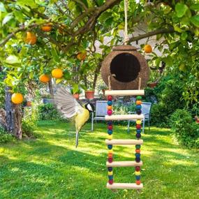 img 3 attached to 🐦 Coconut Bird House with Ladder - DICOBEE Hanging Coconut Shell Bird Nest for Parakeets, Love Birds, and Canary - Natural Coconut Hideaway for Small Animal Cage Toys