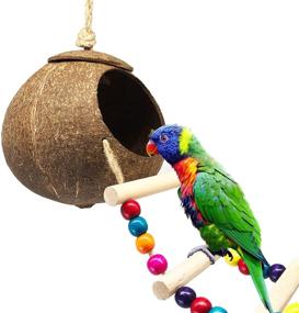 img 4 attached to 🐦 Coconut Bird House with Ladder - DICOBEE Hanging Coconut Shell Bird Nest for Parakeets, Love Birds, and Canary - Natural Coconut Hideaway for Small Animal Cage Toys