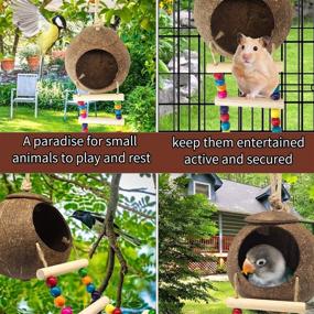 img 1 attached to 🐦 Coconut Bird House with Ladder - DICOBEE Hanging Coconut Shell Bird Nest for Parakeets, Love Birds, and Canary - Natural Coconut Hideaway for Small Animal Cage Toys