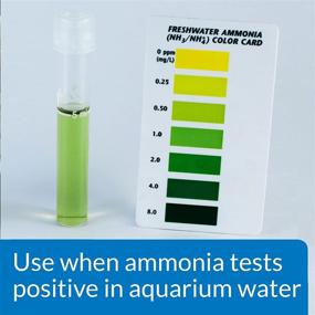 img 2 attached to 🐟 API AMMO-LOCK Ammonia Detoxifier: Safeguard Your Fish from Toxic Ammonia