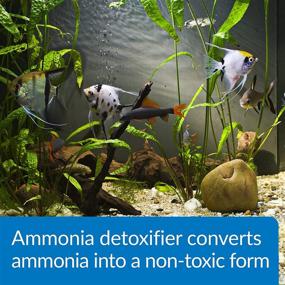 img 1 attached to 🐟 API AMMO-LOCK Ammonia Detoxifier: Safeguard Your Fish from Toxic Ammonia