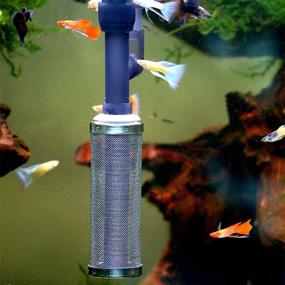 img 3 attached to XEOGUIYA Strainer Stainless Protect Aquarium Fish & Aquatic Pets and Aquarium Pumps & Filters