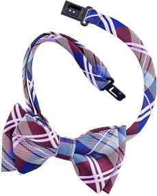 img 1 attached to 🔍 Optimize your search: Stylish Tartan Microfiber Pre-Tied Boys' Accessories and Bow Ties by Retreez