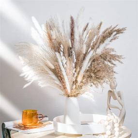 img 4 attached to 🍂 WILD AUTUMN 92 Pcs Luxury Gift Box: Natural Dried Pampas Grass Bouquet for Boho Wedding Decor & Home Decoration